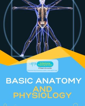 Basic Anatomy and Physiology