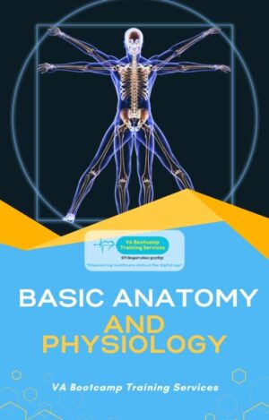 Basic Anatomy and Physiology